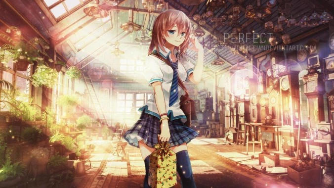 新手养鱼，鱼缸中能放入哪些水草？